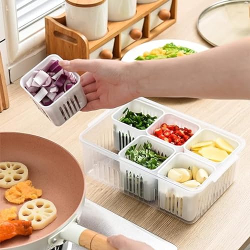 Image of TASMAX Fridge Storage Boxes, Plastic Fridge Containers, Fridge Accessories Items, (Fridge Storage 6GRID)