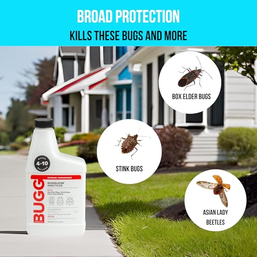 image for BUGGSLAYER Insecticide - Concentrate - Outdoor Box Elder Bugs, Stink B
