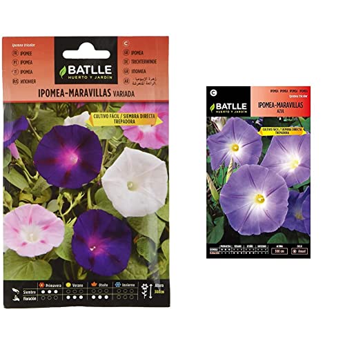 Semillas Batlle Ipomea-Maravillas trepadora vda. & Ipomea Azul