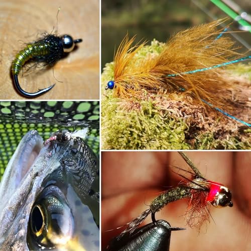 image for M MAXIMUMCATCH Maxcatch 100PC/LOT Tungsten Fly Tying Beads Head for Ny