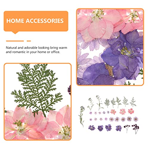 Milisten Dried Flower Material Bag 5.71X4.13 Inch Diy Handmade Mixed Flower Specimens for Home Wedding Party Table Decoration - Image 3