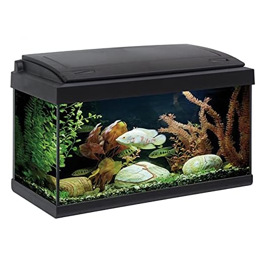 Akkua Acuario 60, Acuario Starter led, 54 litros, Acuario Completo Pro 60 Acuario Starter Tropical 60