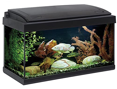 Akkua Acuario 60, Acuario Starter led, 54 litros, Acuario Completo Pro 60 Acuario Starter Tropical 60