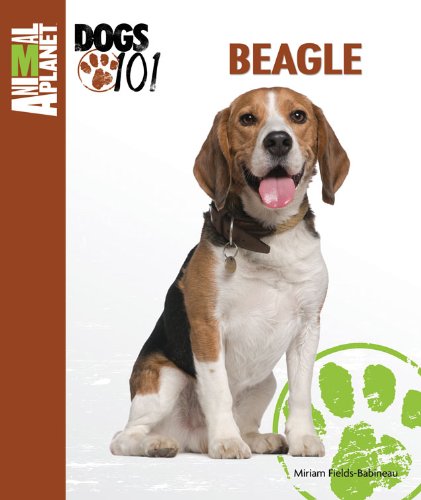 Beagle Animal Planet Dogs 101 Desertcart Seychelles