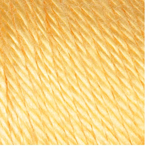 Image of Bulk Buy: Caron Simply Soft Yarn Solids (2-Pack) (Sunshine)