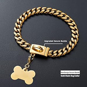 Gold Necklace Dog Chain Collar18k Gold Plated Stainless Steel Cuban Link Chain Collar for Small Dogslength  12  Cucciolini Doodles Gold necklace dog chain collar18k gold plated stainless steel cuban link chain collar for small dogslength  12   cucciolini doodles