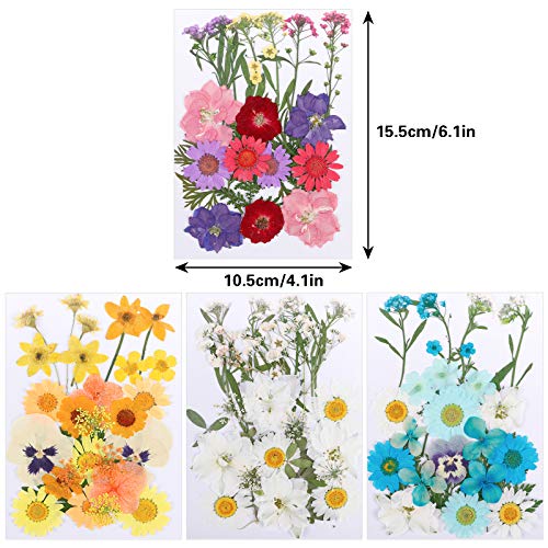 image for LIMGLIM 104 Pcs Dried Pressed Flowers Leaves for Resin Candle Soap Jew
