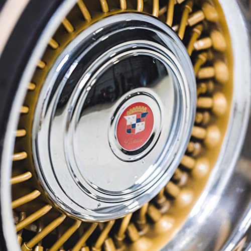 Y U QT feat. Scrufizzer