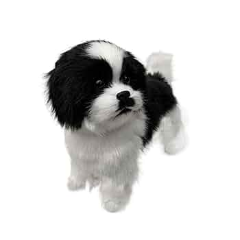 白黒犬様　制作費ページ Amazon.co.jp: 現実的な黒と白の子犬シミュレーションのおもちゃ