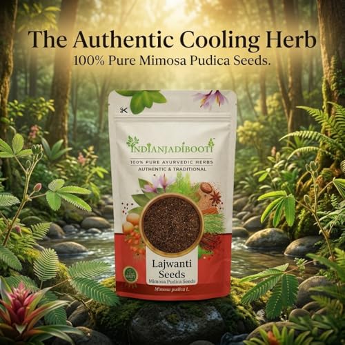 Image of IndianJadiBooti Pure Lajwanti Seeds (Mimosa Pudica) | Traditional Botanical for Cooling Harmony, Systemic Vitality & Pitta Balance - 400g (Pack of 2)
