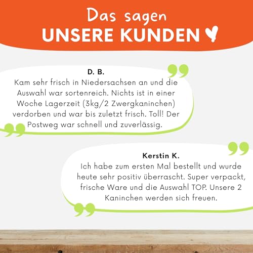Kohl‑Lover Frischfutter-Box 3 kg – Ausgewognene Kohl‑Mischung für Kaninchen, Meerschweinchen & weitere Heimtiere | Blatt‑ & Kohlsorten liebevoll zusammengestellt | Versand Immer Montag & Dienstag