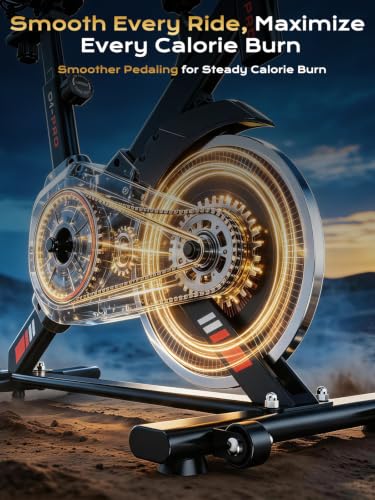 Exercise Bike 350 LB Capacity