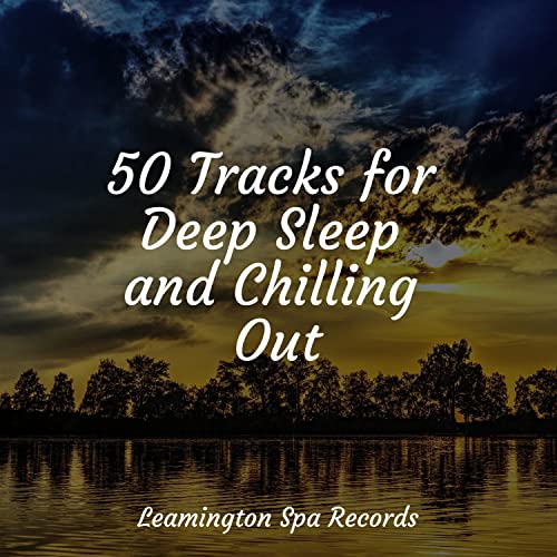 50 Tracks for Deep Sleep and Chilling Out by Study Music, Meditation ...