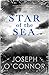 Star of the Sea (English Edition)