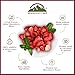 Himalayan Chef Freeze-Dried Strawberry 10g/each (Pack of 10) | Organic Fruit Snacks, Healthy Dried Fruit for Kids & Adults, Freeze-Dried Fruit Snack