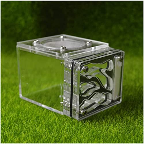Ameisenfarm Ant Castle Acryl Mini Clear Ant Nest Farm Villa House Eco Workshop Einzigartige handgefertigte Ant Farm Kids Ant Nest Castle Bequem zu beobachten