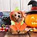 Halloween-Kürbis-Kostüm für Hunde und Katzen, lustige Haustierkleidung, für kleine Hunde, Katzen, Welpen, Größe XL