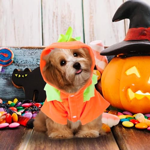 Halloween-Kürbis-Kostüm für Hunde und Katzen, lustige Haustierkleidung, für kleine Hunde, Katzen, Welpen, Größe XL