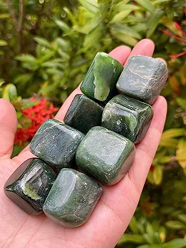 Image of GAF TREASURES 1 /2 LB Nephrite Jade Tumbled Stones, Polished Nephrite Jade Gemstone, Nephrite Jade Healing Crystals (Nephrite Jade)