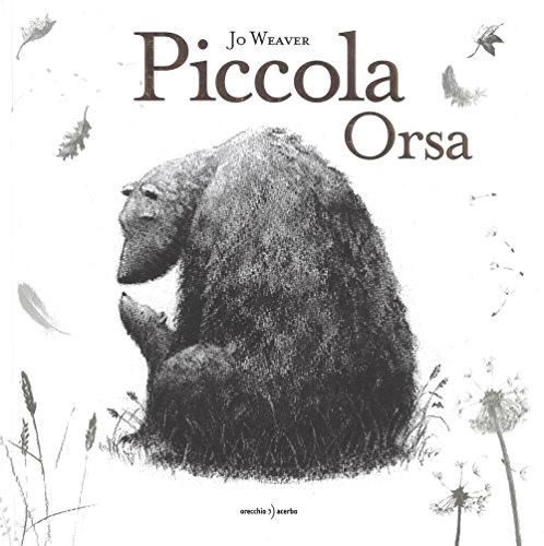  Piccola Orsa