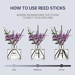 396stpreservedbabysbreathflowerreeddiffuserdarkvanillasandalwood200ml67ozreeddiffusersetsscentsyhomefragrancescentedoilshomebathroomdecor Urban Country Home Decor 396 st preserved babys breath flower reed diffuser dark vanillasandalwood 200ml67oz reed diffuser sets scentsy home fragrance scented oils home bathroom decor urban country home decor