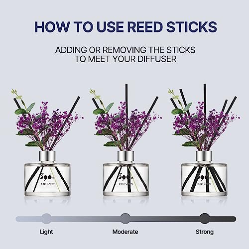 396stpreservedbabysbreathflowerreeddiffuserdarkvanillasandalwood200ml67ozreeddiffusersetsscentsyhomefragrancescentedoilshomebathroomdecor Urban Country Home Decor 396 st preserved babys breath flower reed diffuser dark vanillasandalwood 200ml67oz reed diffuser sets scentsy home fragrance scented oils home bathroom decor urban country home decor