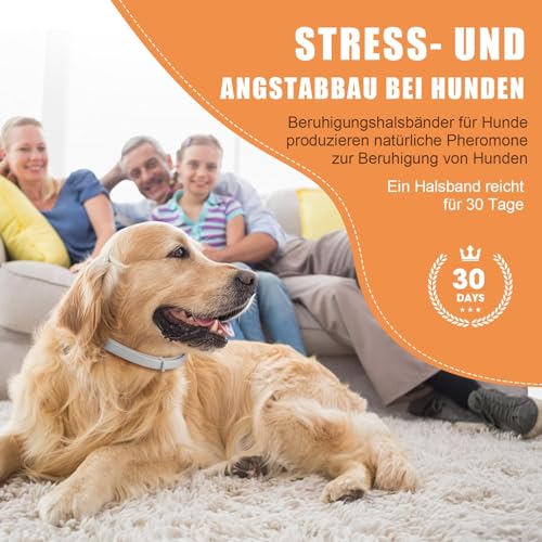 Beruhigungshalsband für Hunde 6 Packungen Hund Pheromon Calm Halsbänder Relief Angst Stress Trennung Lasts 120 Tage Relieve schlechtes Verhalten 25 Zoll Größe einstellbar für alle Hund (Grau)