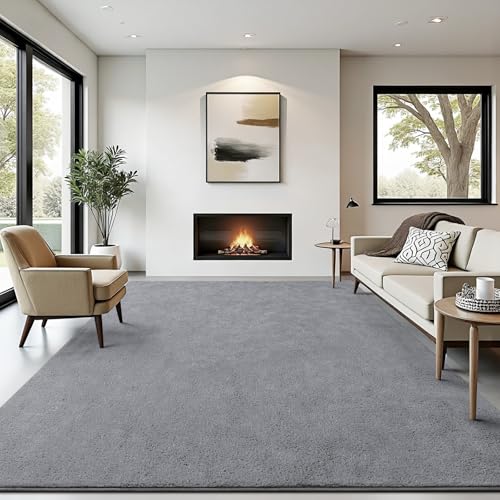 BENRON Soft Rugs for Living Room 5x7 Grey, Minimalist Area Rug for Bedroom