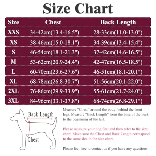 Hundebody Nach Op Body Hund Nach Kastration Hündin Rüde Leckschutz Hundebody Operationsbody Hund Op Anzug Anti Leck Medizinischer Body Wundschutzanzüge für Hunde Einteiler Medical Pets Shirt – Bild 3