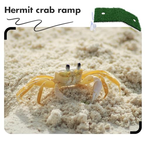 YUYUETIME ϋvp TvbgtH[ ?͋zՂňŒ hJ񋏊Ip oX[v iƂ