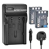 DSTE 2PCS NB-2LH NB-2L (1900mAh/7.4V) Battery and Charger Kit Compatible with Canon PowerShot G9, S40, VIXIA HF R11, HV40, DC320, 400D