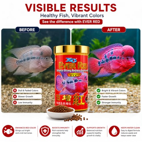 Image of VAYINATO All Life Stages Pellet Ocean Free Xo Ever Red (Original) Fish Food, 280Ml /100G|Enhance Strong Redness Development For Flowerhorn Fish