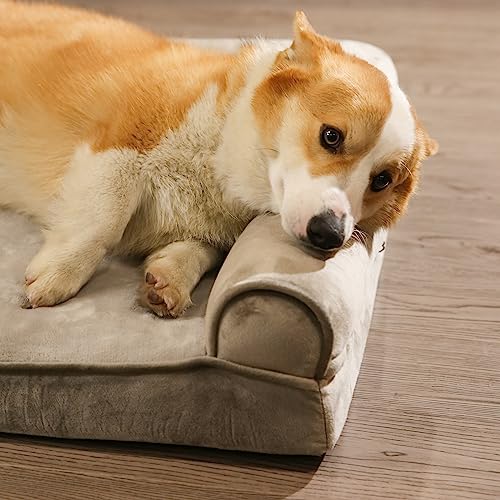 Amazon Basics Großes Hundebett/Sofa in U-Form aus Schaumstoff, mit abnehmbarem, waschbarem Bezug, Taupe, 91 x 69 x 17 cm (L x W x H)