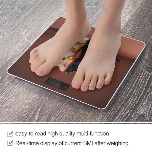 Báscula Digital Cute Kitten Blanco y Naranja 400 lb miniatura 5