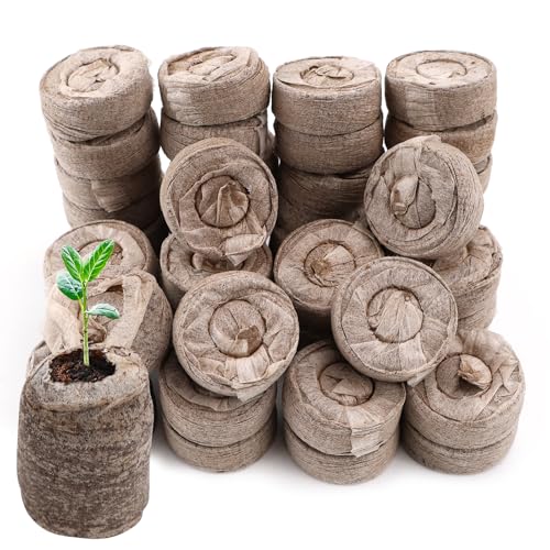 WPPQWP 50 STK Ø30mm Quelltabletten Anzucht, Anzuchterde für Samen, Torfquelltöpfe enthält Kokosfasern, Torf, Bio und Nährstoffe, Vliesstoffabdeckung, Anzucht von Stecklingen, Saaten (Torf - 50STK) WPPQWP 50 STK Ø30mm Quelltabletten Anzucht, Anzuchterde für Samen, Torfquelltöpfe enthält Kokosfasern, Torf, Bio und Nährstoffe, Vliesstoffabdeckung, Anzucht von Stecklingen, Saaten (Torf - 50STK)