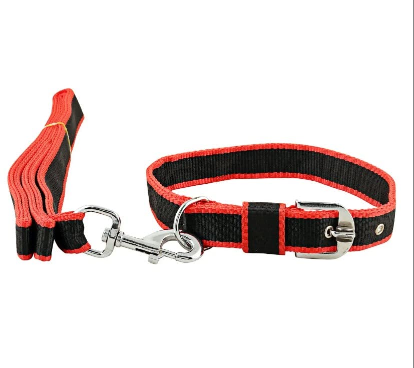 PetCeptual Dog Collar and Leash for Large Dogs (Color Will Sent as per The Availability) (B0BFNSXNKY) Amazon Price History, Amazon Price Tracker