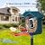 DOCOON Smart Bird Feeder with Camera, 2K HD AI Identify Birds Species, Bird Watching Camera with Solar Panel, Gift for Mom Dad Birdlovers