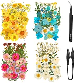 151 Pieces Real Dried Pressed Flowers for Resin, Multicolored Natural Dry Flowers Mixed Pressed Daisy with Tweezers and Scissors for DIY Resin Candle Pendant Jewelry Nail Art Stickers Crafts Making