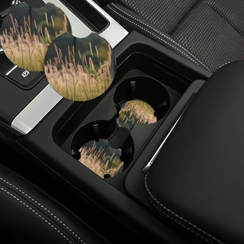 Portavasos para carro 2 unidades absorbente negro universal