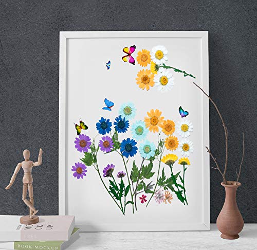 image for Foyozisun Real Dried Pressed Flowers and Butterfly Transparent Sticker