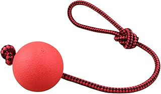 POPETPOP Ball and Rope Dog Toy-Dog Ball on String-Rope Rubber Solid Elastic Ball Bite-Resistant Pets Supplies Molar Training Tool for Dog Puppy