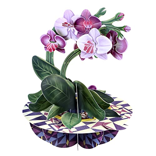 SANTORO Pirouette, biglietto di auguri pop-up 3D