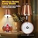SOUDFK Wireless Bottle Lamp, 2026 New 3 Color Rechargeable Led Wine Bottle Lights for Bars Restaurants (Champagne, 1PC)