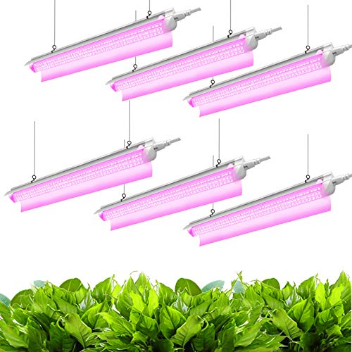 5+ Best T8 Grow Lights Review For Indoor Garden On 2021