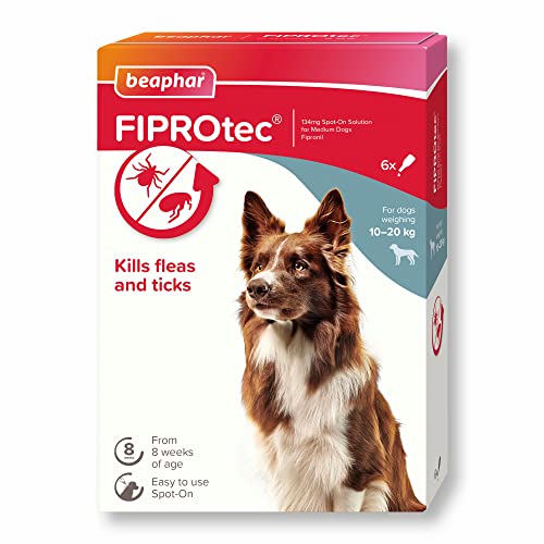 Amazon.co.uk Most Wished For Items that customers have added to Wish