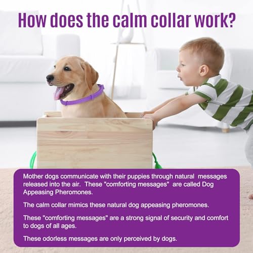 Image of ART OF SPORT Calming Collar for Dogs, 4Pcs Adjustable Pheromone Dog Calming Collar, Last 60 Days Anxiety Relief Diffuser for Dogs and Puppies, Releases Pheromone, Anxiety, Stress & Fear Control