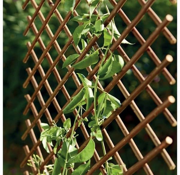 Celosía Extensible Mimbre |0.5x1.5 m |Soporte para Plantas trepadoras