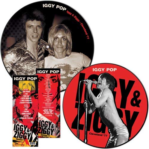 Album Art for Iggy & Ziggy Cleveland '77 by Iggy Pop