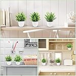 Der Rose 4 Pack Petits Faux Plantes Artificielles Plantes Intérieures pour Maison Étagère Ferme Salle de bain Décor Bureau Accessoires de bureau , Fluffy Joli look pour étagères de bureau rebords de fenêtres bureaux décoration, résistant à la fade et sûr pour les animaux domestiques (pas de sol ou de pollen)
