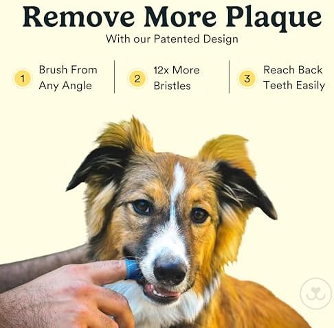 Jasper Dog Toothbrush, 360 Degree Dog Tooth Brushing Kit, Cat Toothbrush, Canine Dental Care & Teeth Cleaning Kit, Pet Finger Tooth Brush, Use with Pet Toothpaste, 4-Pack Blue : Pet Supplies Product Image